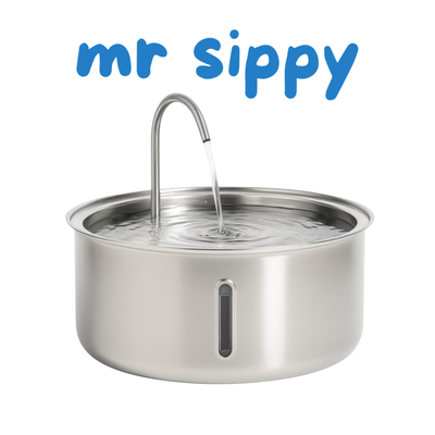 mr sippy